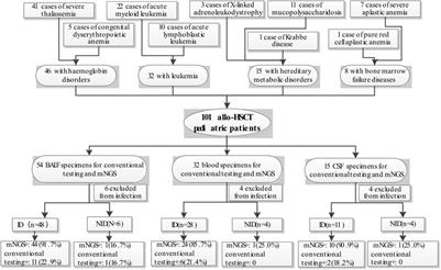 Metagenomic Next-Generation Sequencing vs. Traditional Pathogen Detection in the Diagnosis of Infection After Allogeneic Hematopoietic Stem Cell Transplantation in Children